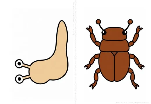 カタツムリ・カブトムシのサンプルイラスト